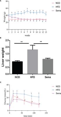 Semaglutide ameliorates metabolism and hepatic outcomes in an NAFLD mouse model